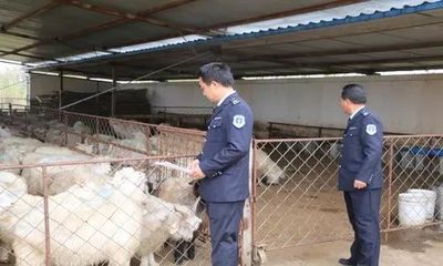 扬州市全面启动牛羊家禽屠宰监督管理工作 保障禽肉食品安全